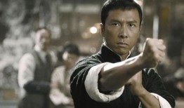 甄子丹明星在线观看,动作巨星风采再现