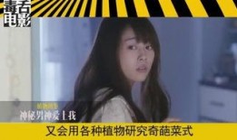 小姐女同电影在线观看,一场跨越性别界限的深情演绎